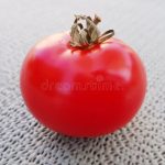 tomate-fresco-y-delicioso