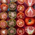 tomates-frescos-y-sabrosos